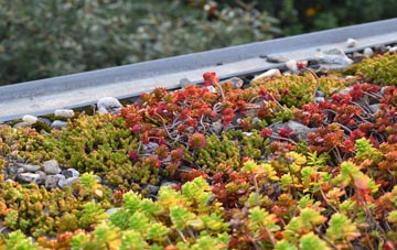 the cost of Ramsnest Common green roof installation