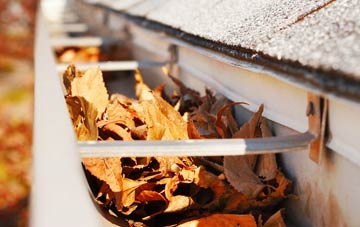 Ramsnest Common gutter cleaning companies