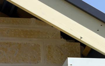 soffit repair Ramsnest Common