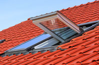 Ramsnest Common roof window