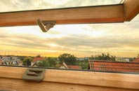 rated Ramsnest Common roof window companies